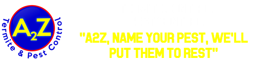 Your Pest Solution